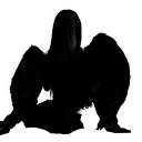 avatar ℰ𝓁𝒾ℴ𝓇𝒶