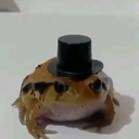 Zoyumzapo