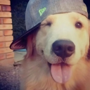 avatar !! Unfair  ☆