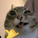 avatar Michiiiiiiiiiiiiiiiiiii
