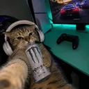 ibangfraud
