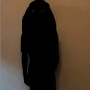 p1k0.