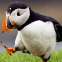 avatar Шмегули(812)