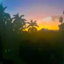maligod avatar