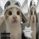 avatar a.
