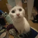 its._.teooo1