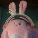 xokookiedough