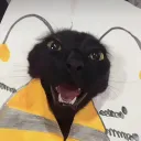 tomowoki