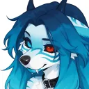.aniu