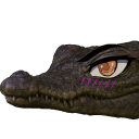 avatar Croc
