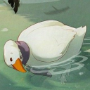 Discord Avatar