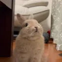 .hrrrm