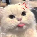 atom1_098