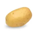 soyrayku