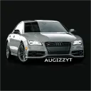 augizzyt