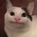 ian.121