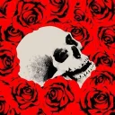 vankiller