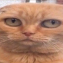 avatar бухаяВЩИ