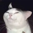 sryupainfz