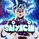 saiyacin45
