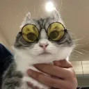 Аватар praise7