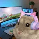 enji_the_shrimp