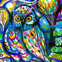 avatar EnoughSubset78