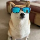 blankktzu