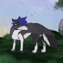 rogue_fox404