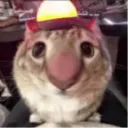 meeehar avatar