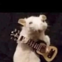 avatar ᴍɪᴇᴢᴇ