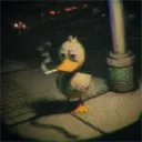 n1troduck