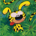 Discord Avatar
