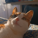 paillat