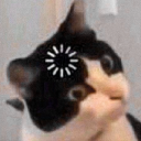 avatar 𝐕𝐨𝐢𝐝