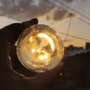 angelofdeath698488 avatar