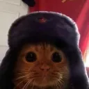 chairman_meow_69