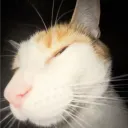 angel_lurks