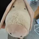 apigz