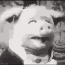 injuredpiggy