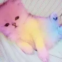 0hum