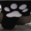 shaeseyes