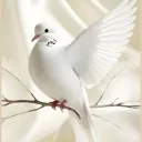 pagbonze1