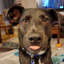 Nutmeg521 member profile picture