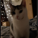 nev5798 member profile picture