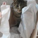 avatar james eastman