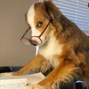 micaxdfy