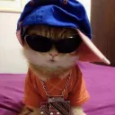 harkk_