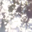 vx00n