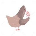 pigeon_713